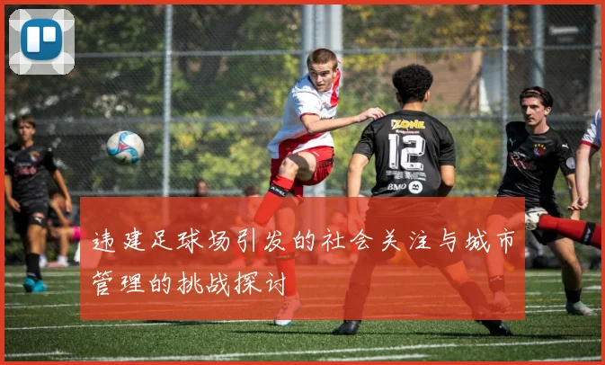 违建足球场引发的社会关注与城市管理的挑战探讨